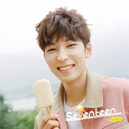 Wonwoo